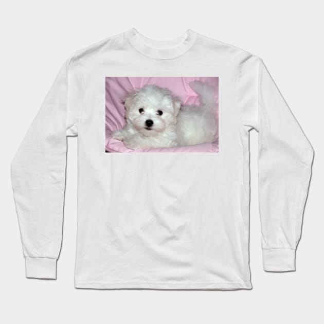 photo puppy pretty in pink Long Sleeve T-Shirt by mystudiocreate